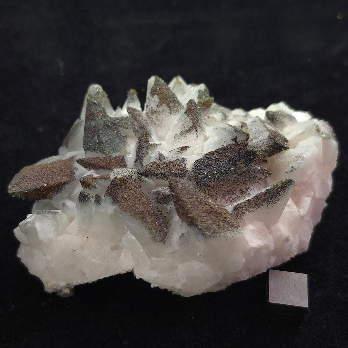 Chalcopyrite over White Dogtooth Calcite – 224g – Daye Co.