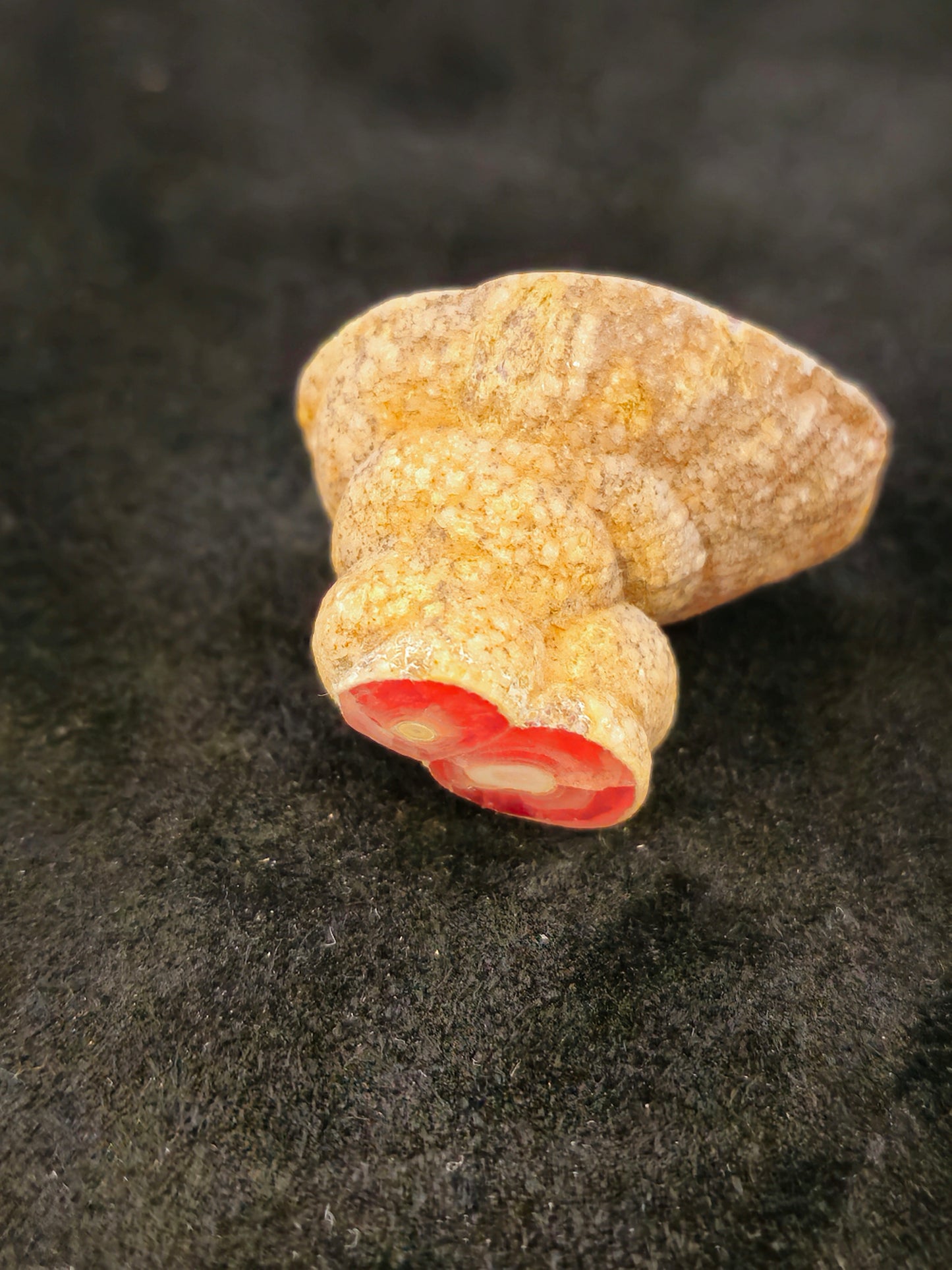 Rhodocrosite Stalactite