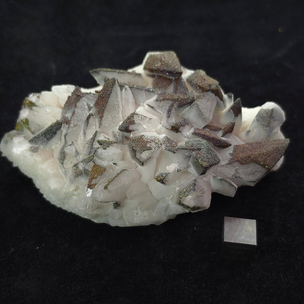 Chalcopyrite over White Dogtooth Calcite – 224g – Daye Co.