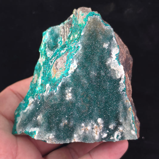 Druzy Quartz covered Dioptase – 621g – Katanga