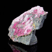 Pink Picropharmacolite 001