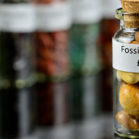 BottFossCora1.JPG
