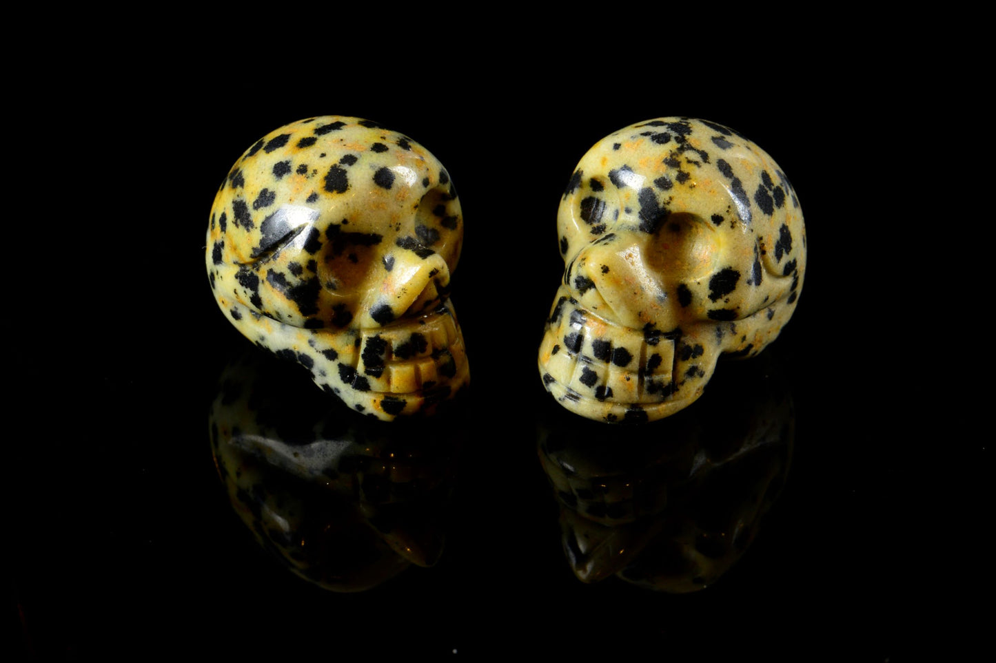 SkulDalm1.JPG