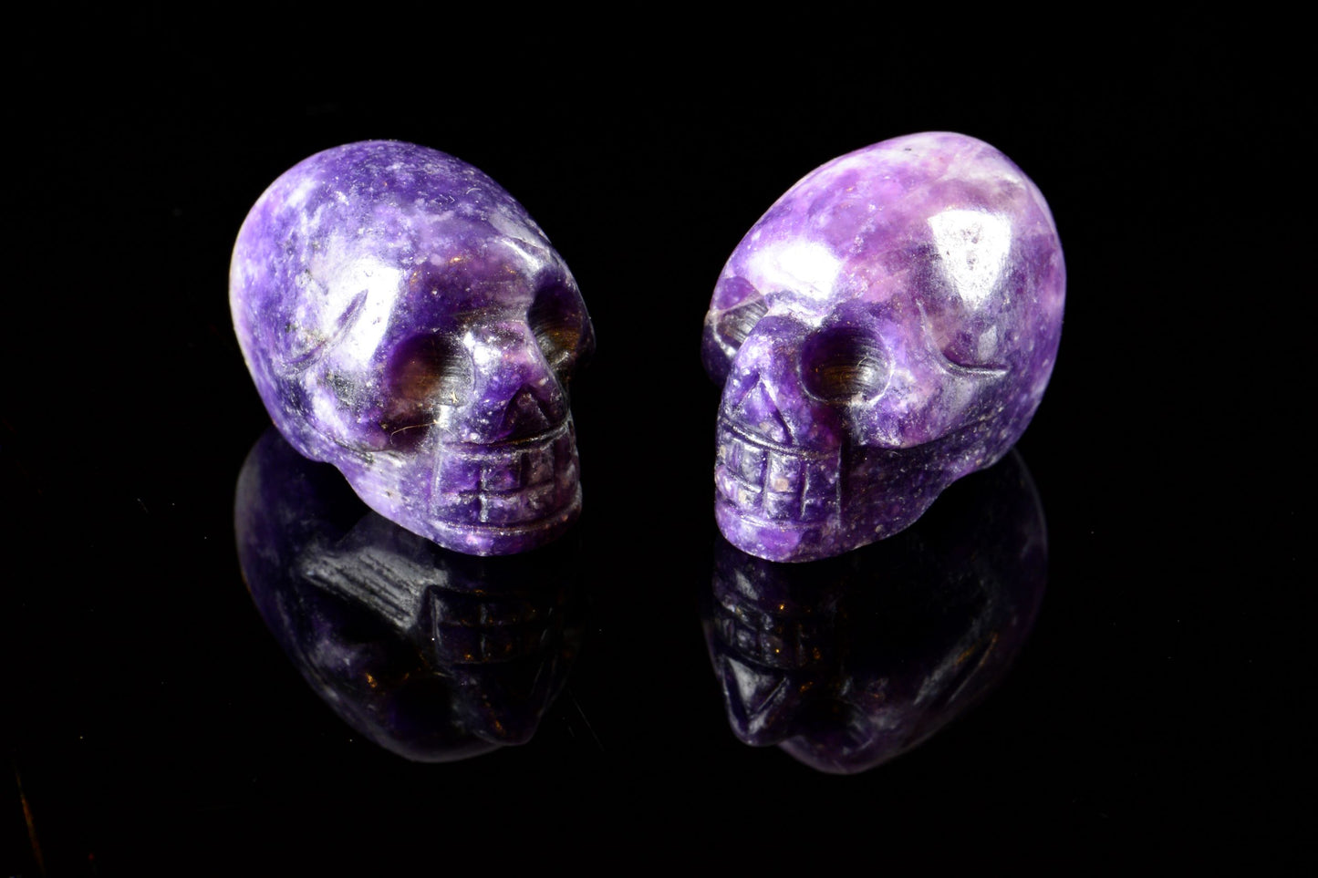 SkulLepid1.JPG