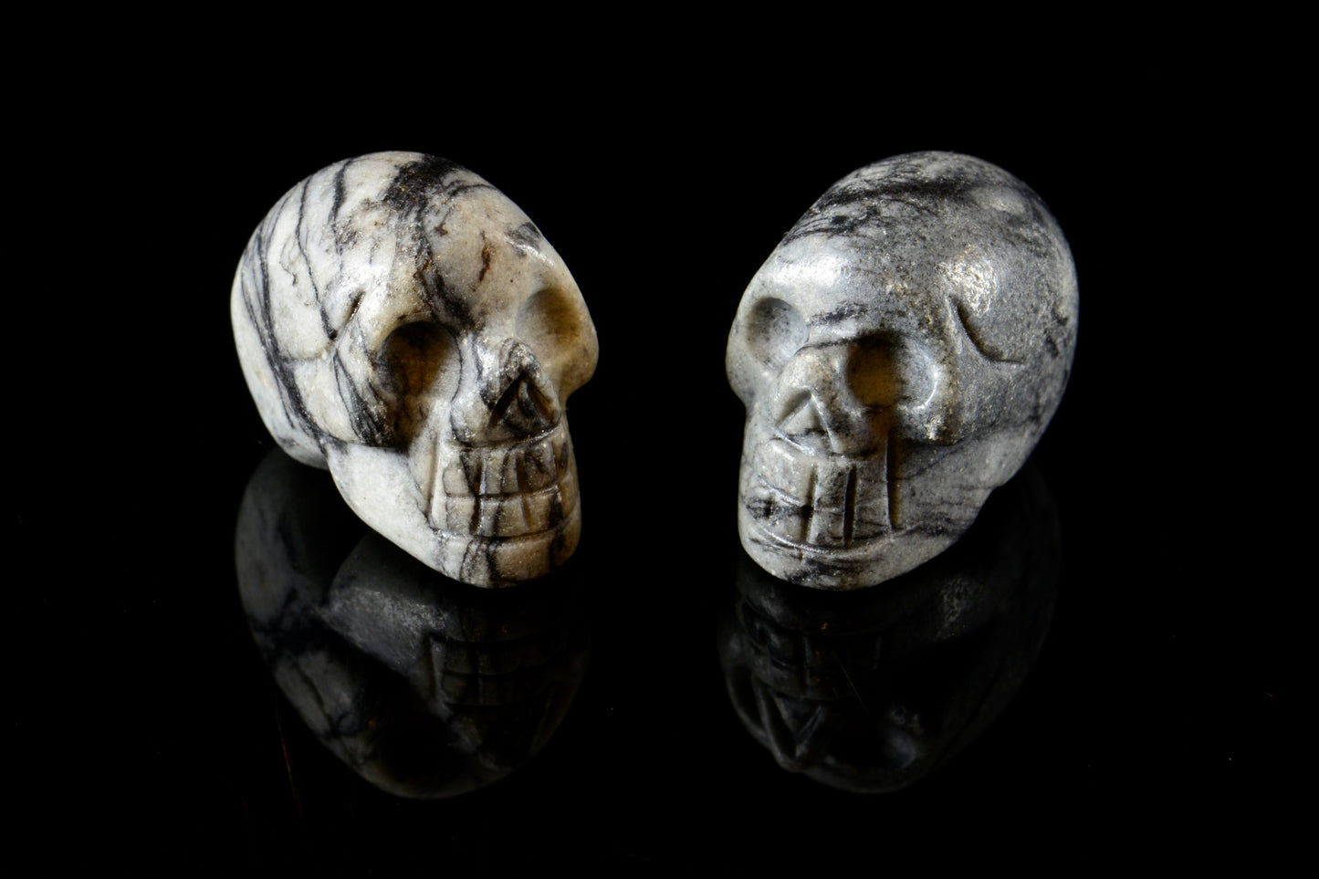 SkulPicas1.JPG
