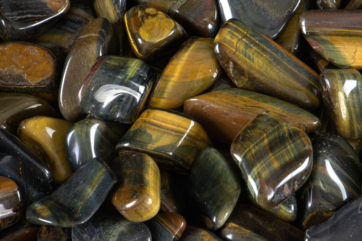 Tumblestones 55 Species